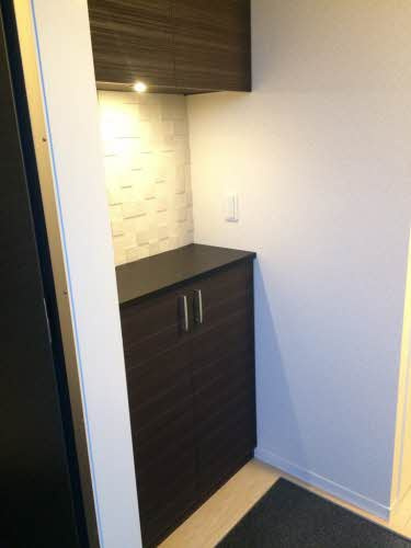 熊本市南区田井島３丁目の賃貸マンションの玄関