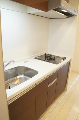 リブリ・ハートポートⅡのキッチン|使いやすいキッチンです