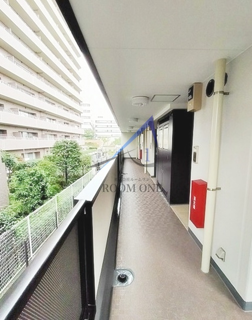 カームリー　フォレスト