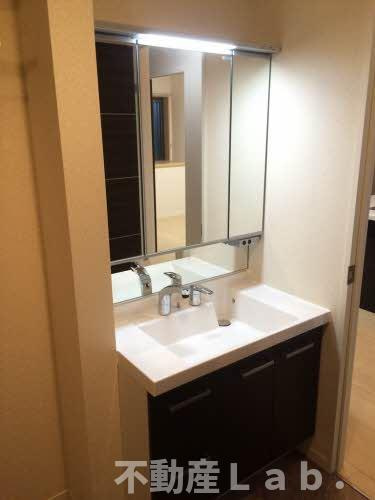 グレースガーデン田井島の洗面所