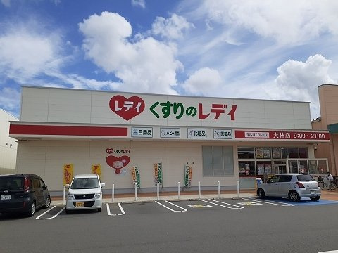 ヴィラ・クリオネＢの周辺|レディ大林店様まで1000m
