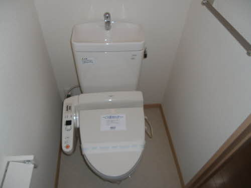 広島市南区向洋新町１丁目の賃貸マンションのトイレ|落ち着いた色調のトイレです