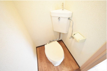 合川コーポ【キャッシュバック対象物件】のトイレ|落ち着いた色調のトイレです