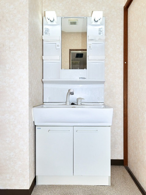 【独立洗面台】 | アグロス | 洗髪洗面化粧台