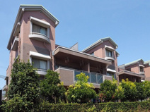 アグロスの画像