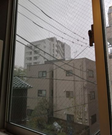 ル・メゾン中野新橋の展望|展望