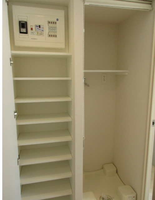 港区新橋５丁目の賃貸マンションの玄関