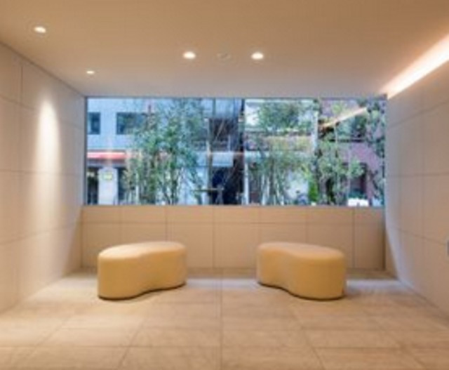 港区新橋５丁目の賃貸マンションのエントランス