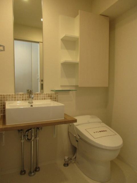 港区新橋５丁目の賃貸マンションの洗面所