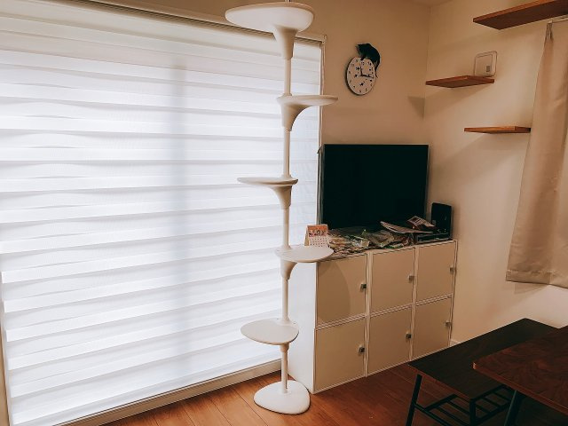 ぬこハウス堀切のその他共用部分|大きなテレビ、ダイニングテーブルと、一人暮らしでは得られない贅沢な設備が備わっています。