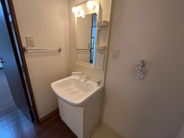 グリーンフィールド楠の洗面所|シャンプードレッサー