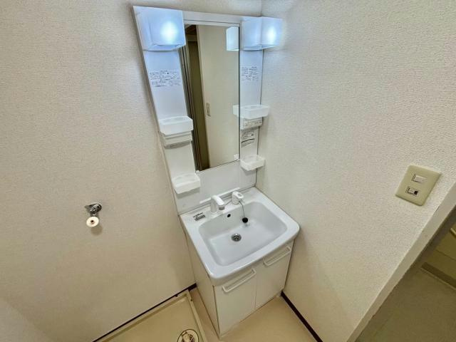 フラッツ・アイの独立洗面台