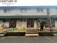 庄司文化の画像