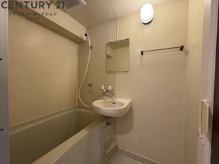 シンプルな2点ユニットバス