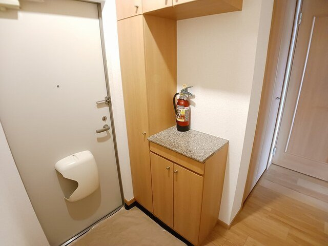 ドリーム　イーストの玄関|ゆったりとした玄関です