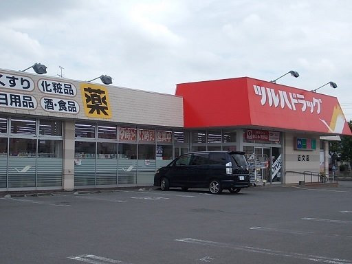 カーサイリーデの周辺|ツルハドラッグ近文店まで450m