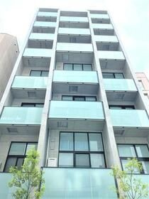 ｔａｌｉｅｓｉｎ　ＣＹ