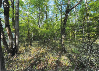 【周辺】 | 八風の郷別荘