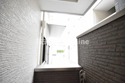 【展望】 | Lunaria