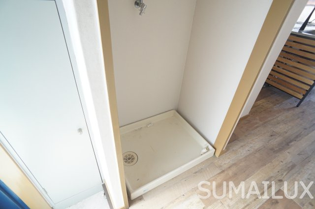 熊本市南区十禅寺２丁目の賃貸マンションの洗面所