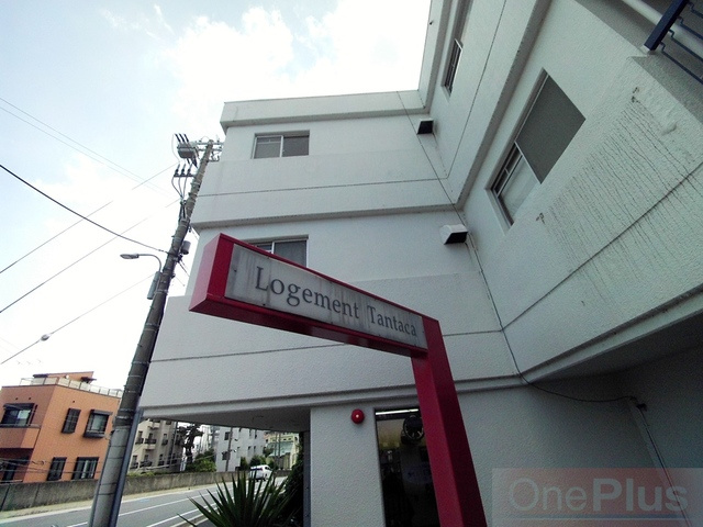 ロジュマン反高のその他