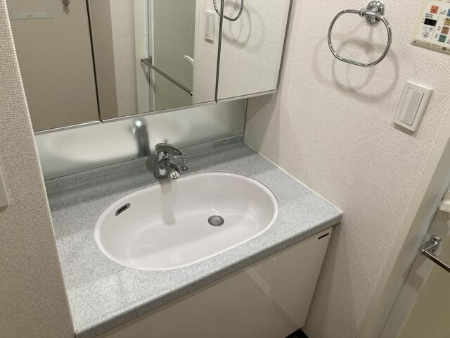 ルピナス高輪の独立洗面台|独立洗面台で身支度をすべて済ませてしまいましょう