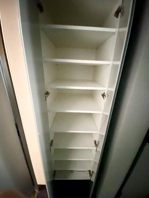 ガリシア中野富士見町の収納|こまごまとしたものを収納できそうですね