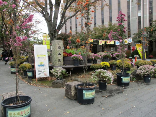 グランメゾン白瀧公園の周辺