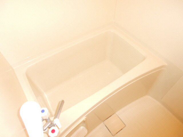 シャルムＳＯＩ１０の浴室