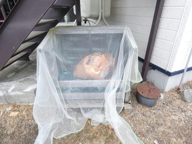 シャルムＳＯＩ１０の設備