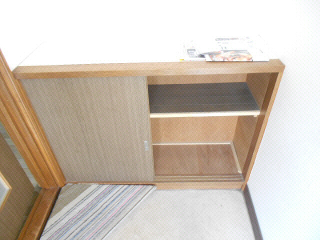 シャルムＳＯＩ１０の収納