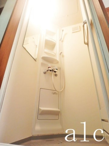 アーバンプレイス高田馬場駅前Aのシャワールーム