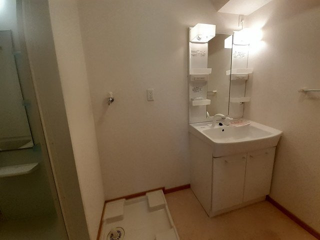 ラ・フェリーチェⅡの洗面所