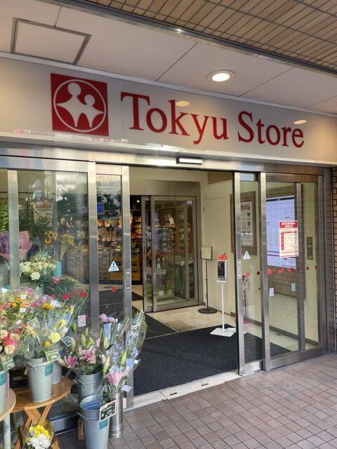 ドゥーエ大森の周辺|東急ストアまで300m 