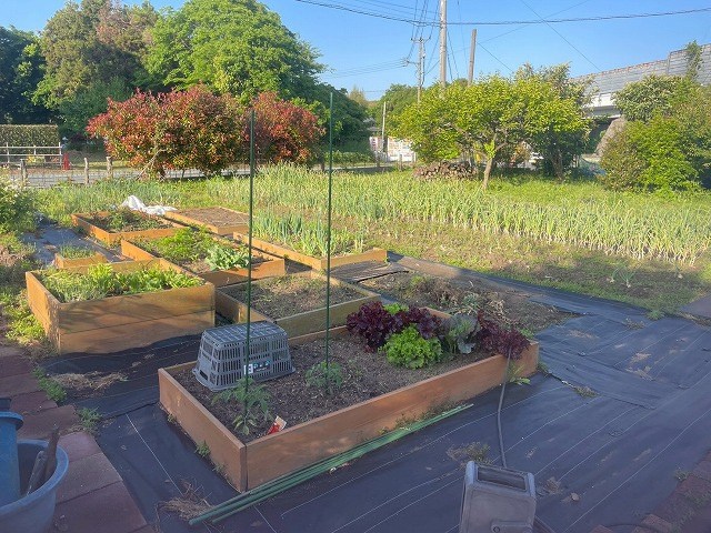 【外観】 | 古賀市筵内土地