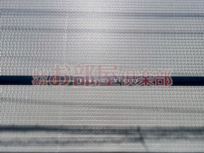 RENATUS VERITEのその他