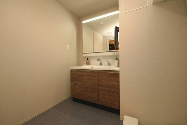 Maison de Azureの洗面所