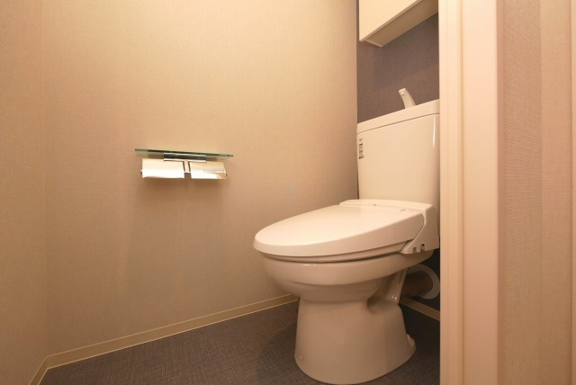 Maison de Azureのトイレ