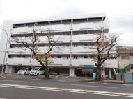 ファーストエバーグリーンビルの画像