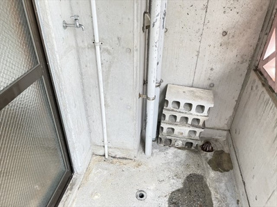  | アネックス東苑