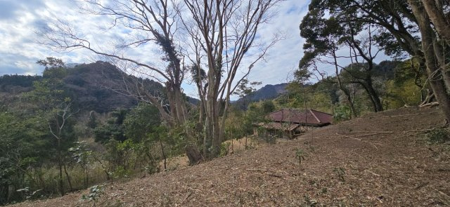 南房総市荒川　中古戸建の庭|都会を離れて、自然に帰る暮らし