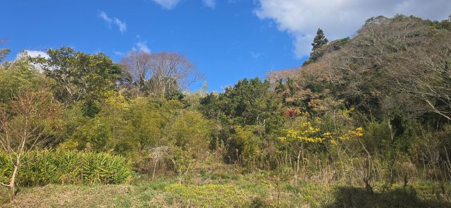 南房総市荒川　中古戸建の外観|海まで車約１８分。