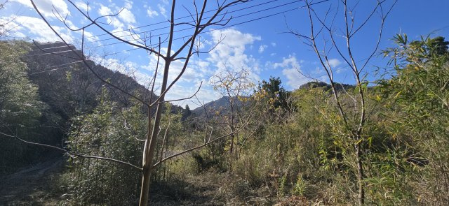 南房総市荒川　中古戸建の外観|山に囲まれた、日当たりの良い集落内。