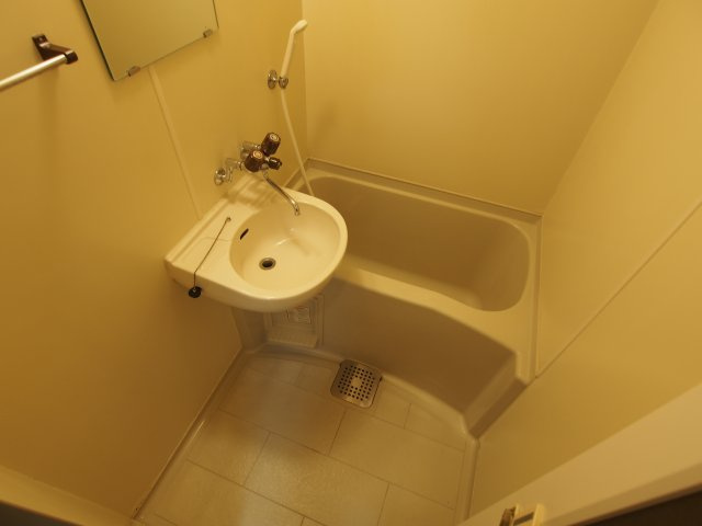 バリュージュ船越の洗面所