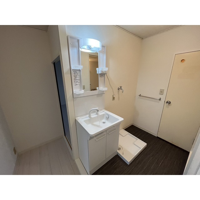 サンシャイン新真鍋の独立洗面台