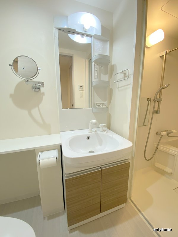 LaCASA玉造　仲介手数料無料の洗面所