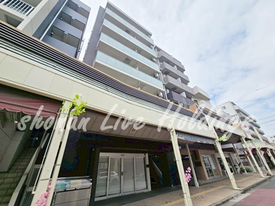 パウロニアバレーテイク12