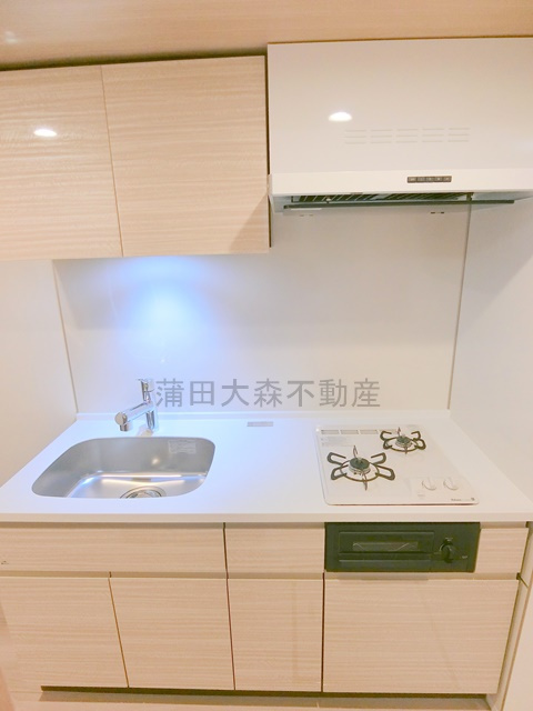 ZOOM下丸子のキッチン|グリル付き2口ガスシステムキッチン