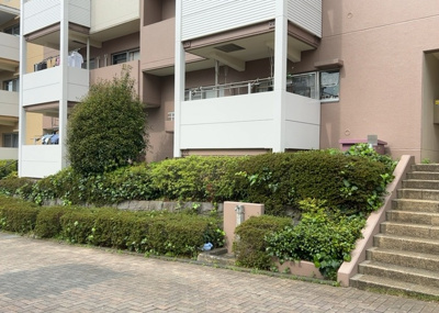 【中庭】 | 南大沢学園五番街２号棟 | 中庭（パティオ）とは、一つの建築物の内部に設けられた、壁などで囲われている庭のことを指します。コの字型、ロの字型が主流ですが、L字型の中庭もあります。最近では、インテリア性の高さからも人気があります。