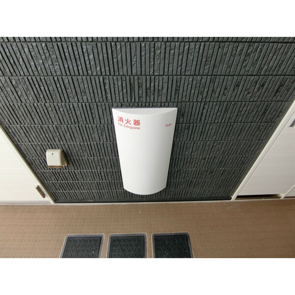 リブリ・アベリアのその他